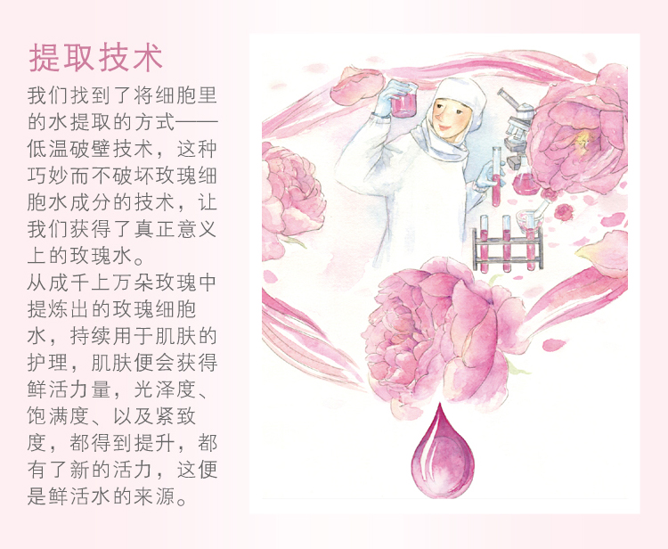 秘密花園玫瑰鮮活水