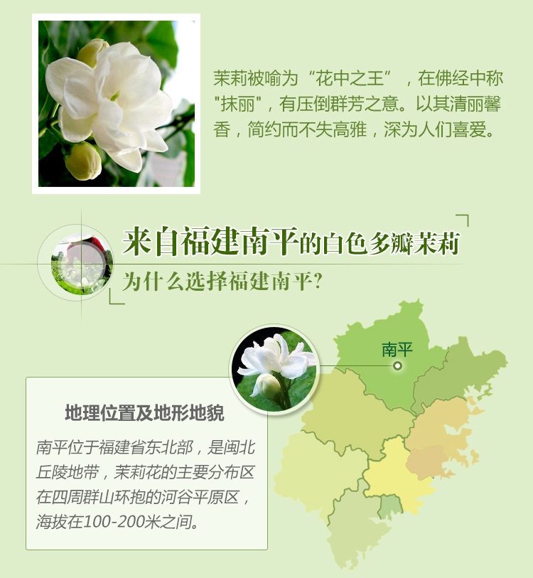 秘密花園茉莉鮮活水